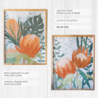 Two botanical protea framed art prints showing product dimensions 21.5W x 27.5H with natural wood frames and glass