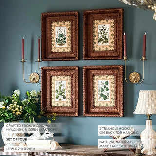 Botanical Framed Prints with Woven Frames, Set of 4