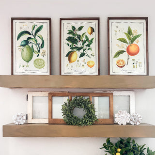 Farmhouse wall shelves with citrus artwork display