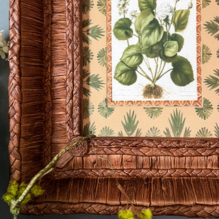 Botanical Framed Prints with Woven Frames, Set of 4