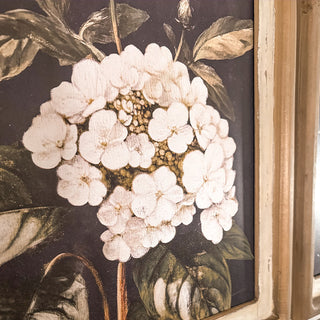 Vintage floral wall art close-up white hydrangea