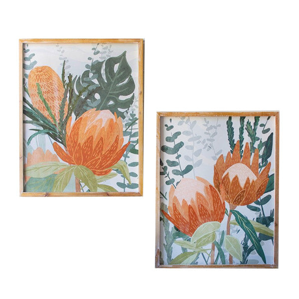 Botanical Protea Framed Wall Art - Decor Steals