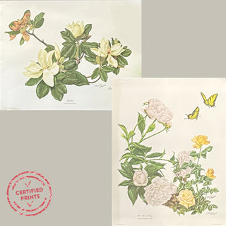 FOUND Certified Richard Sloan Signed Vintage LARGE Prints, Choose Your Style