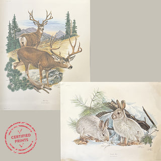 FOUND Certified Richard Sloan Signed Vintage LARGE Prints, Choose Your Style