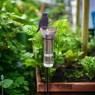 Bird rain gauge garden planter decor