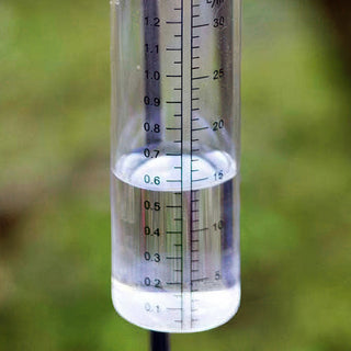 Rain gauge garden stake with roses
