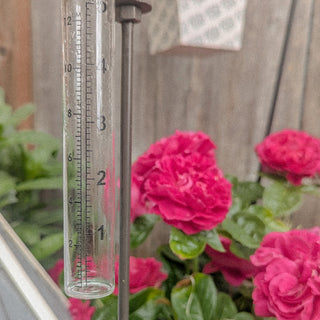 Decorative bird rain gauge outdoor garden