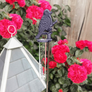 Bird rain gauge among garden flowers