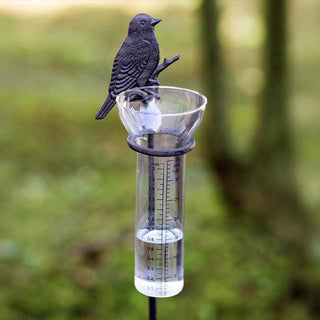 Metal glass bird rain gauge stake