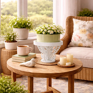White butterfly plant riser coffee table succulent candles farmhouse decor