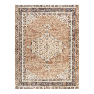 Decorative rug with intricate patterns on a white background