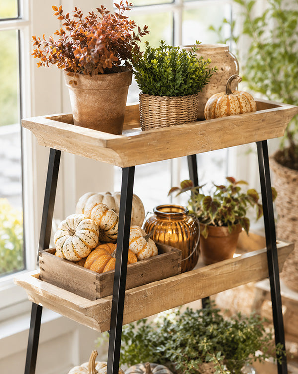 The Display Lover’s Four Tiered Shelf Tower