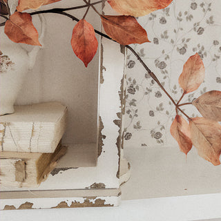 Distressed White Farmhouse House Wall Shelf with Two Tier Display