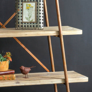 ladder shelf
