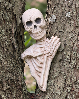 Peeking Skeleton Indoor/Outdoor Halloween Wall Accent
