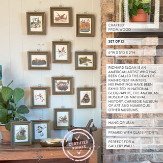 FOUND Vintage Certified Framed Richard Sloan Prints, Set of 12