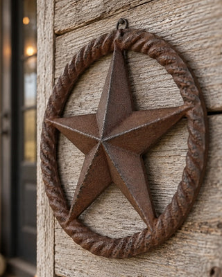 Cast Iron Twisted-Ring Star Wall Plaque