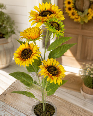 36 Inch Yellow Potted Sunflower Artificial Faux Plant Farmhouse Decor