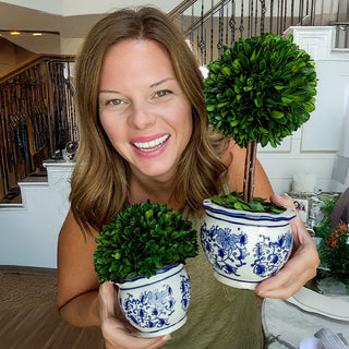 Blue Willow Preserved Boxwood Topiary, Choose Your Style