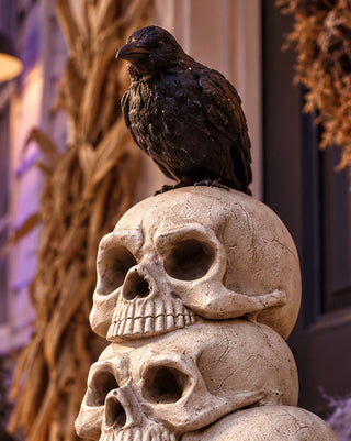 Estate Skull Topiary with Urn