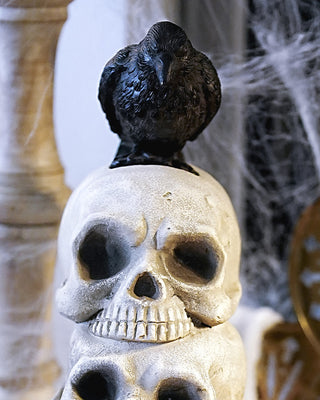 Estate Skull Topiary with Urn