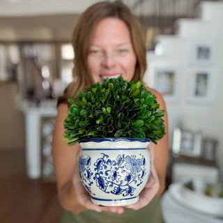 Blue Willow Preserved Boxwood Topiary, Choose Your Style