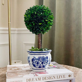 Boxwood Tree Topiary