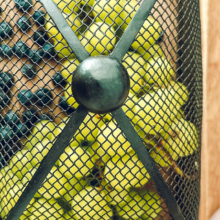 Rustic Wooden Tray with Mesh Dome Cover