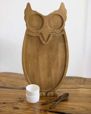 Owl Serving Tray with Bowls and Spoon Set