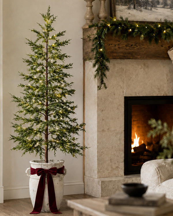 X-Large Wild Pine Lit Christmas Tree with Removable Pot