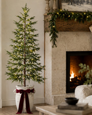 Wild pine 60 inch Christmas tree with removable pot