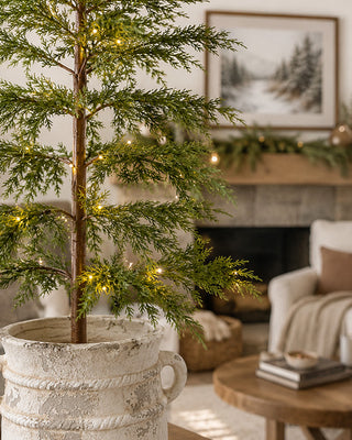 Potted wild pine Christmas tree with string lights in entryway