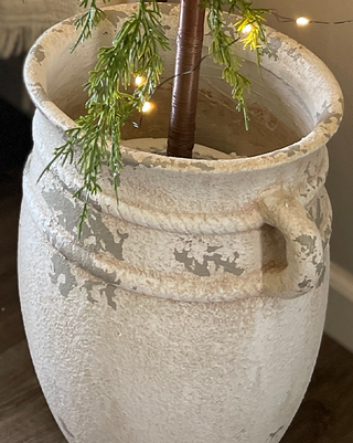 X-Large Wild Pine Lit Christmas Tree with Removable Pot