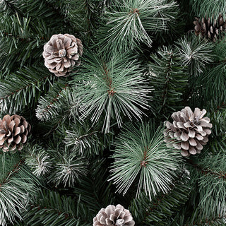 close of christmas tree