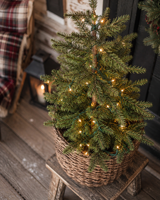 Pre-Lit Alpine Tree 3 Ft with 50 Clear Lights and Wood Trunk