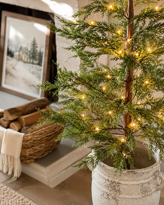 MGO pot displayed separately from wild pine Christmas tree