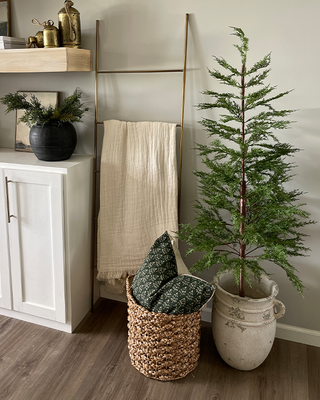 X-Large Wild Pine Lit Christmas Tree with Removable Pot