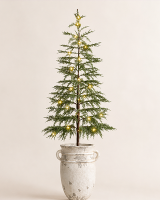 X-Large Wild Pine Lit Christmas Tree with Removable Pot