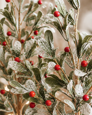 Kiss Me Berry Tree, Set of 2 Red Berry Accent Trees