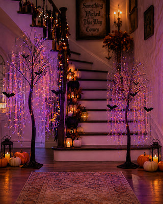 Pre-Lit Purple & Orange LED Spooky Trees, Set of 2