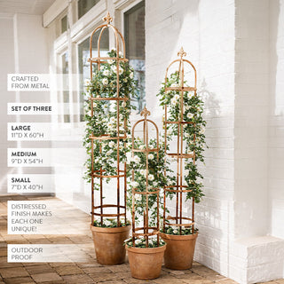 Fleur de Lis Metal Garden Trellis, Set of Three | Outdoor Proof