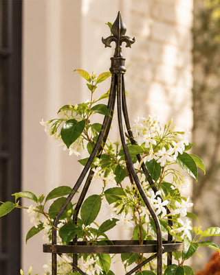 Aged Black Wrought Iron Garden Trellis