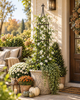 Aged Black Wrought Iron Garden Trellis