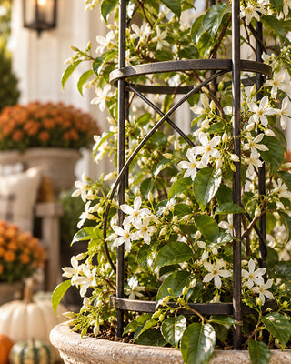 Aged Black Wrought Iron Garden Trellis