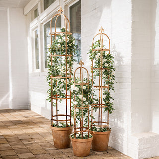 Large outdoor metal obelisk trellis decor