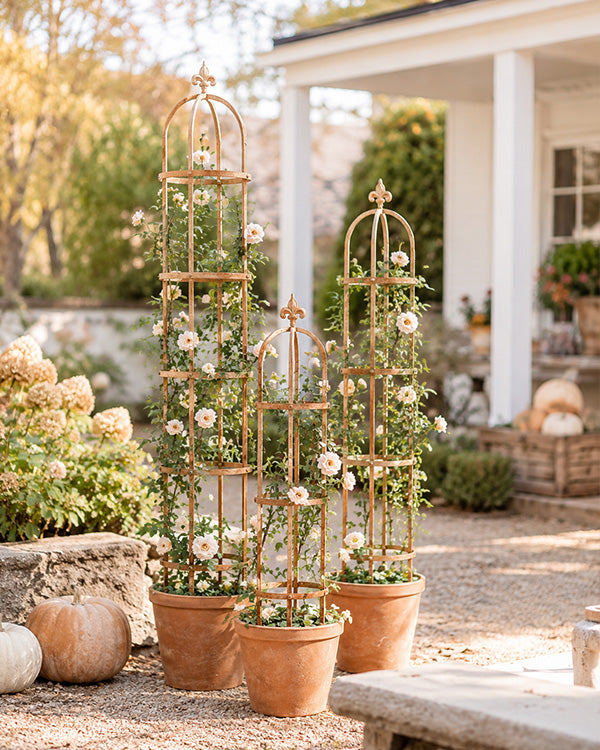 Fleur de Lis Metal Garden Trellis, Set of Three | Outdoor Proof