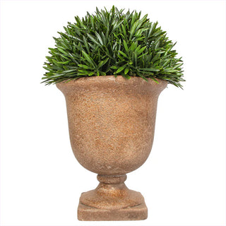 Faux Boxwood or Rosemary in Textured Iron Urn