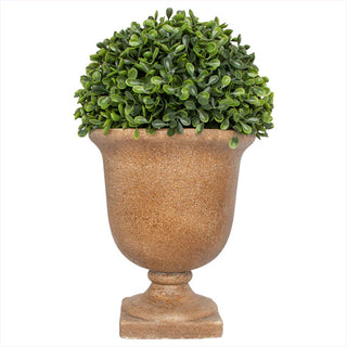 Faux Boxwood or Rosemary in Textured Iron Urn