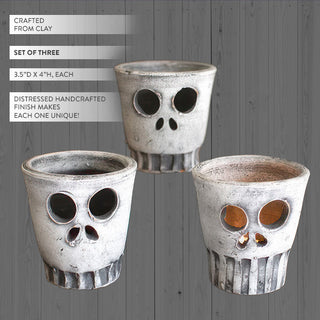 vases