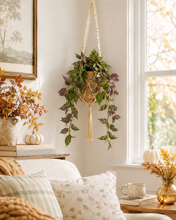 A hanging wicker basket macrame plant hanger with a green and purple trailing plant, styled in a cozy, sunlit living room next to a window.